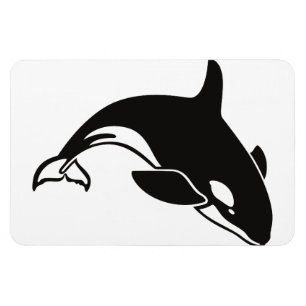 Íman Orca Baleia Água Paz Amor Natureza Destino