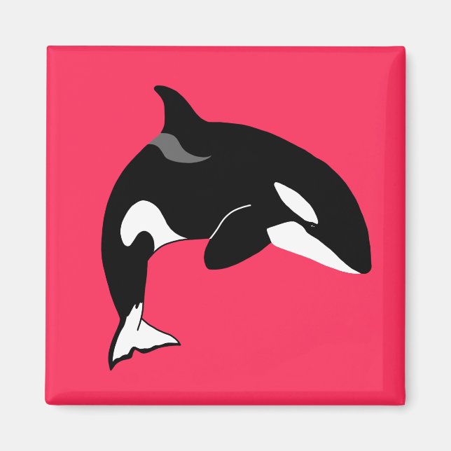 Íman Orca Baleia Assassina  (Frente)