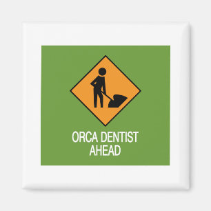 Íman Orca Dentist À Frente