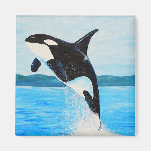 Íman Orca Painting