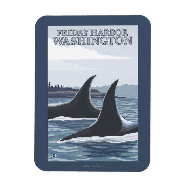 Íman Orca Whales nº 1 - Sexta-feira Harbor, Washington (Vertical)