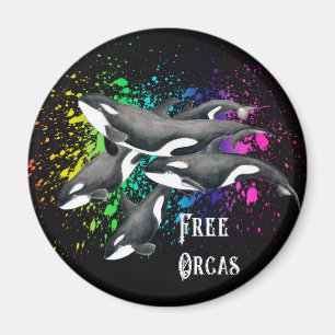 Íman Orca Whales Watercolor Splash Black