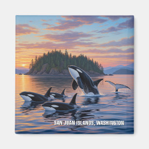 Íman Orcas em Washington san juan Islands viagem