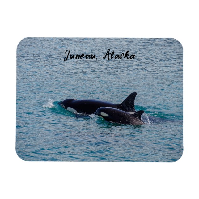 Íman Orcas - Juneau, Alasca - Viagem Souvenir (Horizontal)