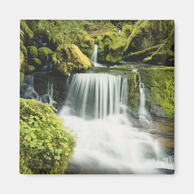 Íman Oregon, Cachoeira no parque nacional Willamette (Frente)