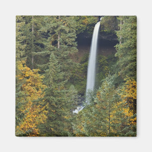 Íman Oregon, Parque Estadual Silver Falls, North Falls