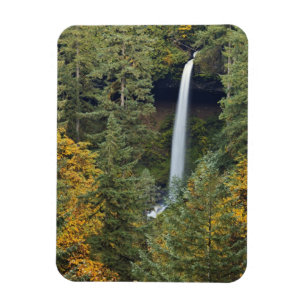 Íman Oregon, Parque Estadual Silver Falls, North Falls