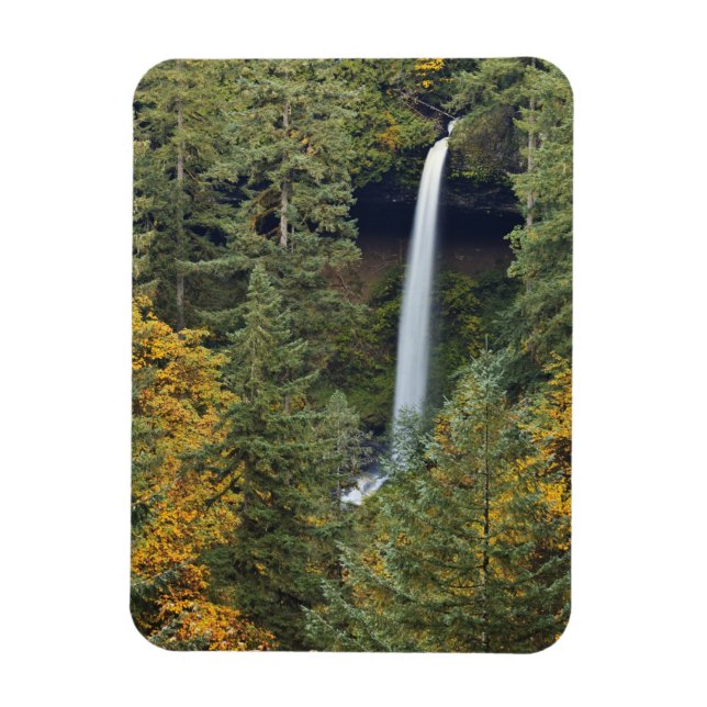 Íman Oregon, Parque Estadual Silver Falls, North Falls (Vertical)
