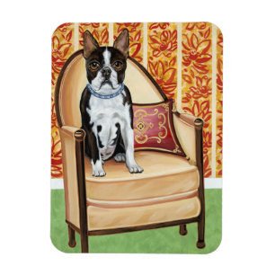 Íman Oreo Cookie Boston