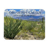 Organ Pipe Cactus, Ocotillo Shrub, Montanhas Ajo
