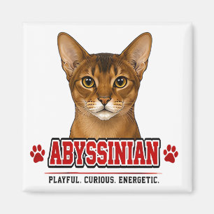 Íman 🐾 Orgulho da Família do Dono de Gato Abissínio 🐾