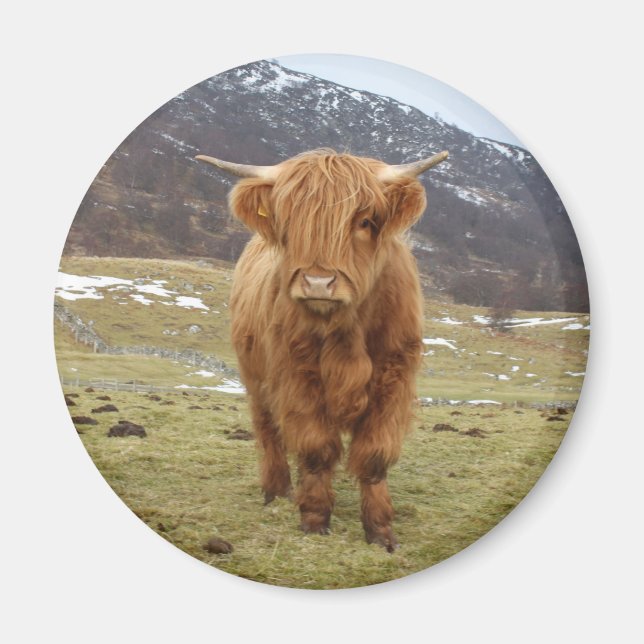 Íman Orgulho de ser escocês! (Frente)