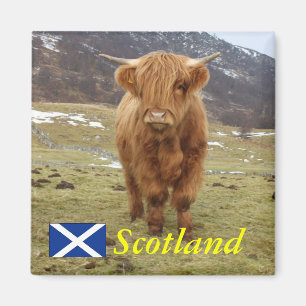 Íman Orgulho de ser escocês!