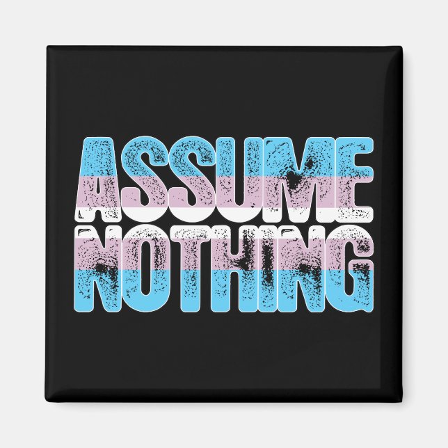 Íman Orgulho Transgênero Não Suponha Nada (Frente)