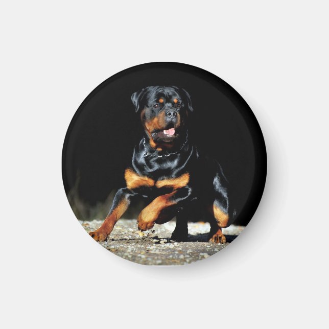 Íman Original Rottweiler Magnet (Frente)