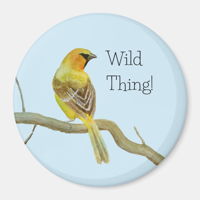 Íman Oriole Hooded (Frente)