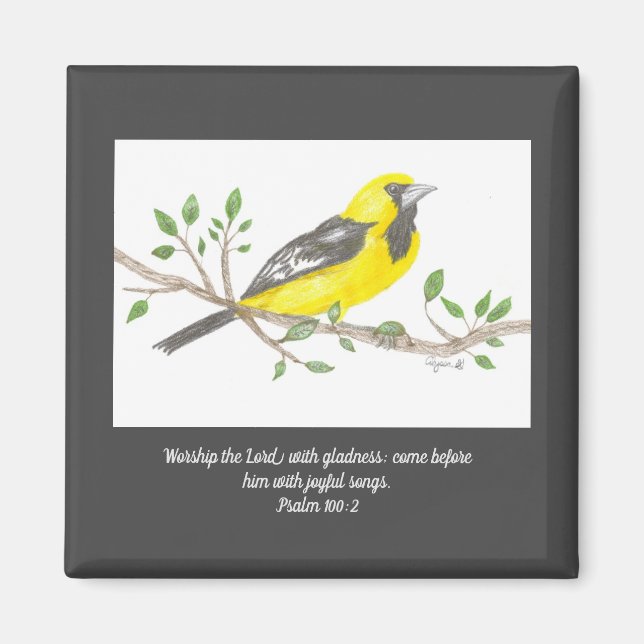 Íman Oriole Magnet (Frente)