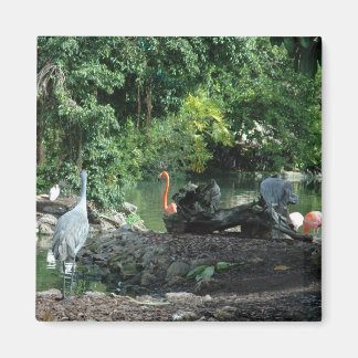 Íman Orlando Florida Magnet