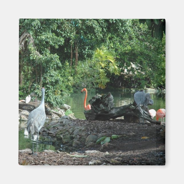 Íman Orlando Florida Magnet (Frente)