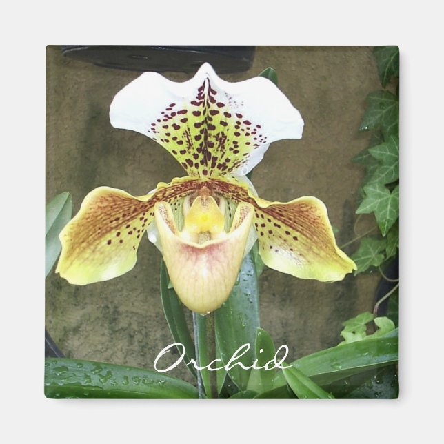 Íman Orquídea (Frente)