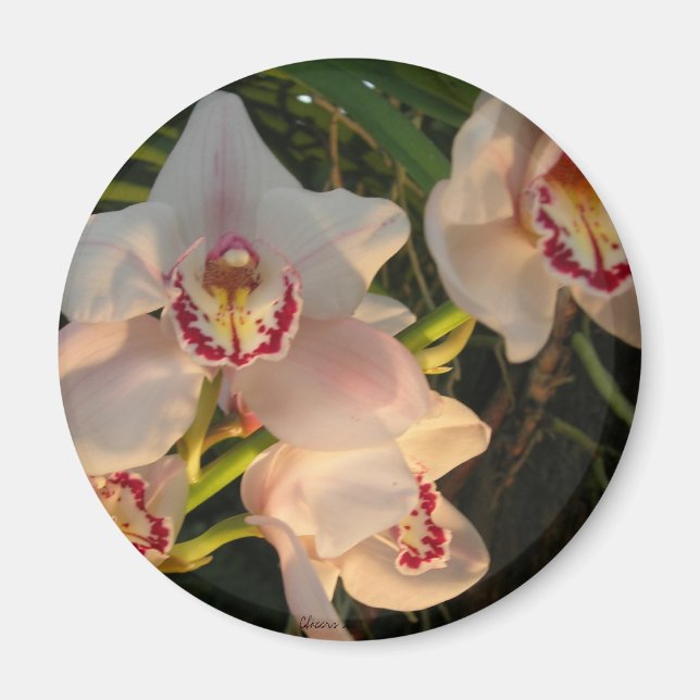 Íman Orquídea (Frente)