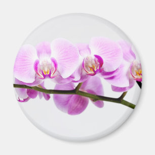 Íman orquídea