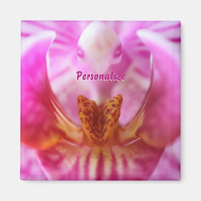 Íman Orquídea-Alienígena-roxa-laranja Vítima-Floral (Frente)