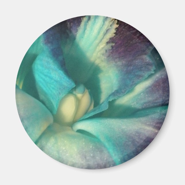 Íman Orquídea azul e roxa fecha (Frente)