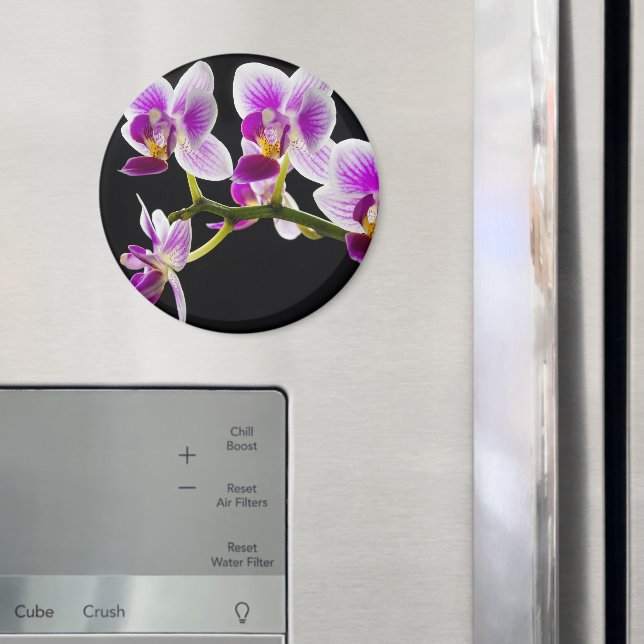 Íman Orquídea branca e roxa (In Situ (Fridge))