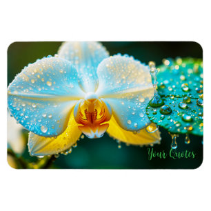Íman Orquídea Branca Elegante com Gotículas de Água Bot