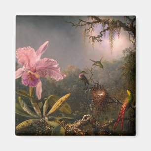 Íman Orquídea de Cattleya e três beija-flores (Heade)