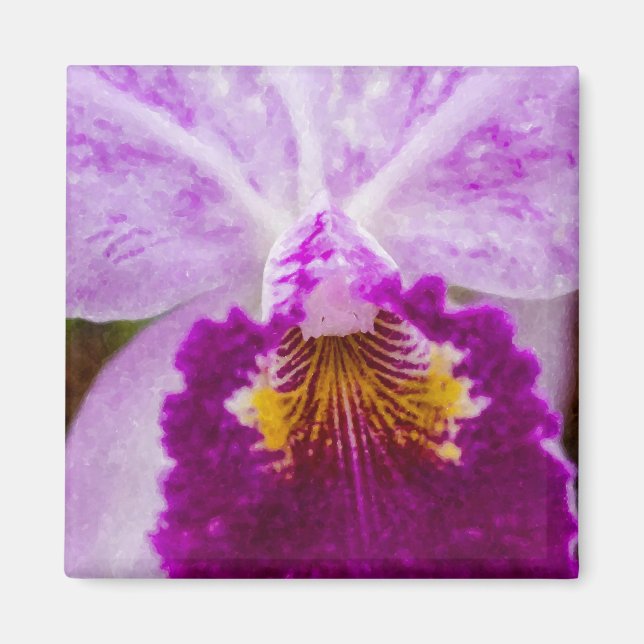 Íman Orquídea de Paixão Roxo (Frente)