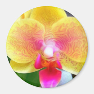 Íman Orquídea do ouro por ventilador de alimentação