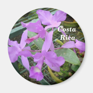 Íman Orquídea -- Flor nacional de Costa Rica