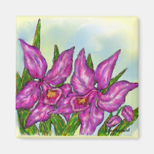 Íman Orquídea magnética