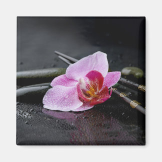 Íman Orquídea Negra
