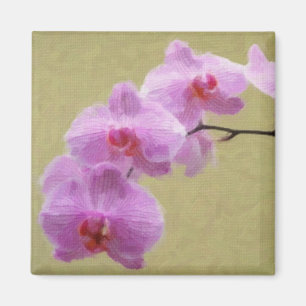 Íman Orquídea Phalaenopse
