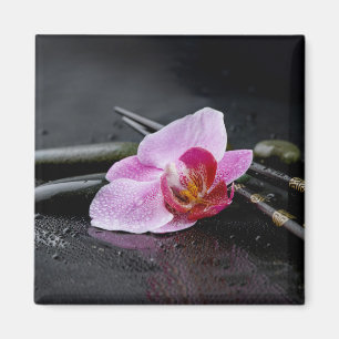 Íman Orquídea preta do zen