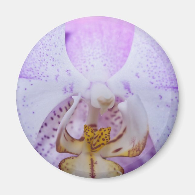 Íman Orquídea Rosa (Frente)