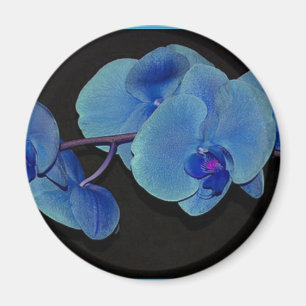 Íman Orquídeas