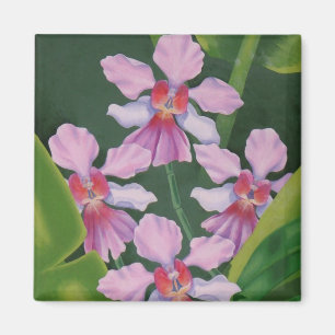 Íman Orquídeas cor-de-rosa