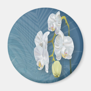 Íman Orquídeas e Ferns