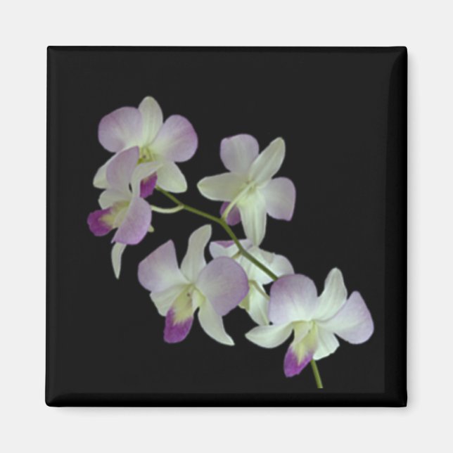 Íman Orquídeas em preto (Frente)