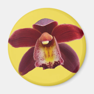 Íman Orquídeas Maroon I Belo Floral Vermelho