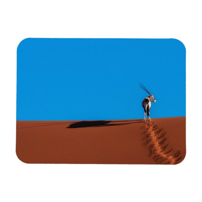 Íman Oryx Antelope no Deserto Namib (Horizontal)