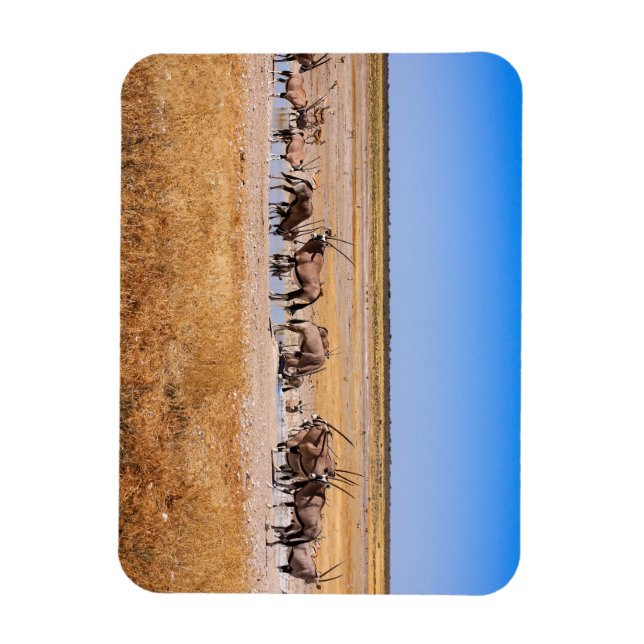 Íman Oryx Antilopen na Namíbia (Vertical)