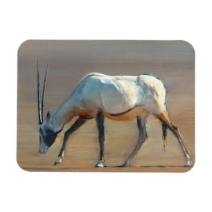 Íman Oryx árabe 2010