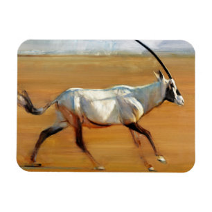 Íman Oryx de galope 2010