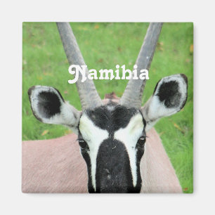 Íman Oryx de Namíbia