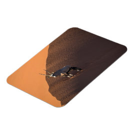 Íman Oryx na borda, Namíbia